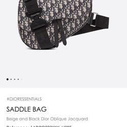 Dior Saddle Bag