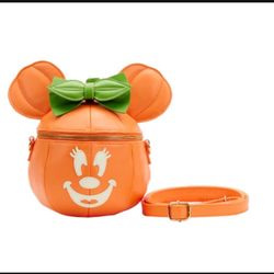 Mickey Pumpkin Bag