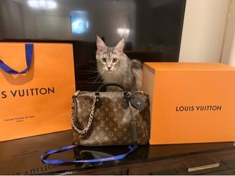 RARE LV BAG BRAND NEW NEVER USED BOUGHT 4/21