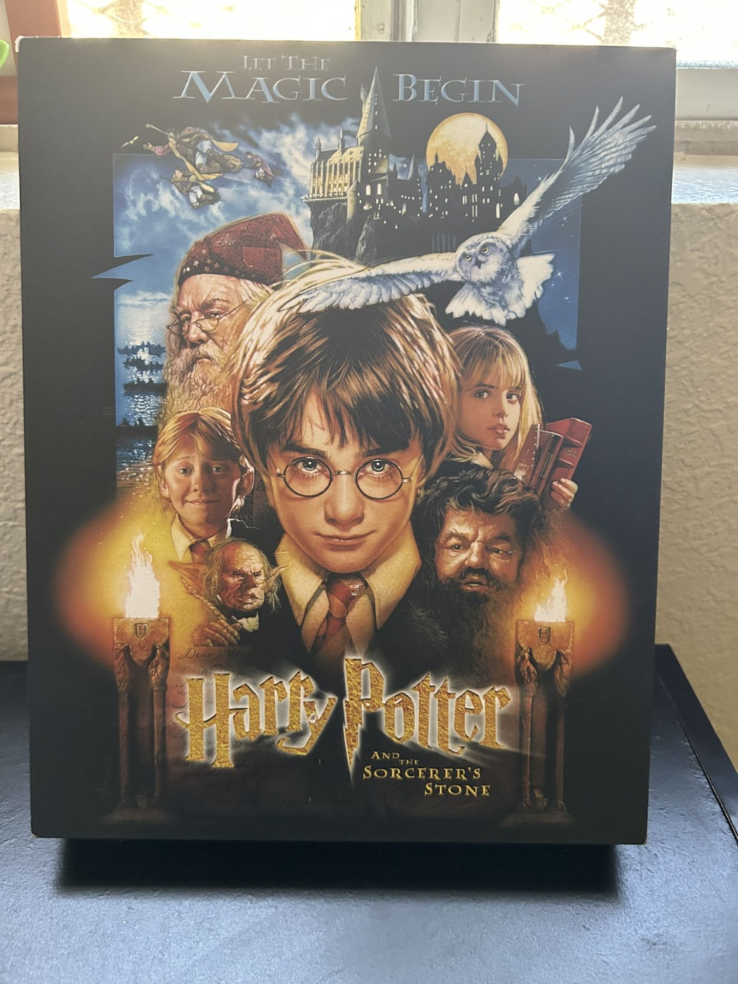 Harry Potter Decor