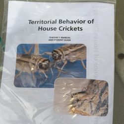 How To Raise Crickets Kit