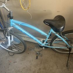 Beach cruiser Bike