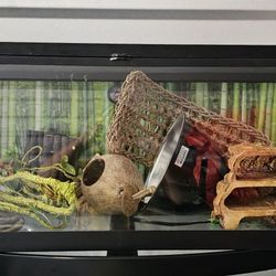 Reptile Tank $75 OBO