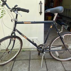 Fuji Tahoe Bike, 24” Frame