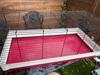 Bunny Cage