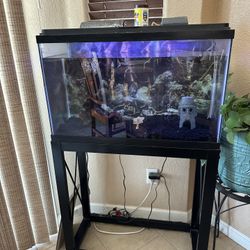 Fish Tank 