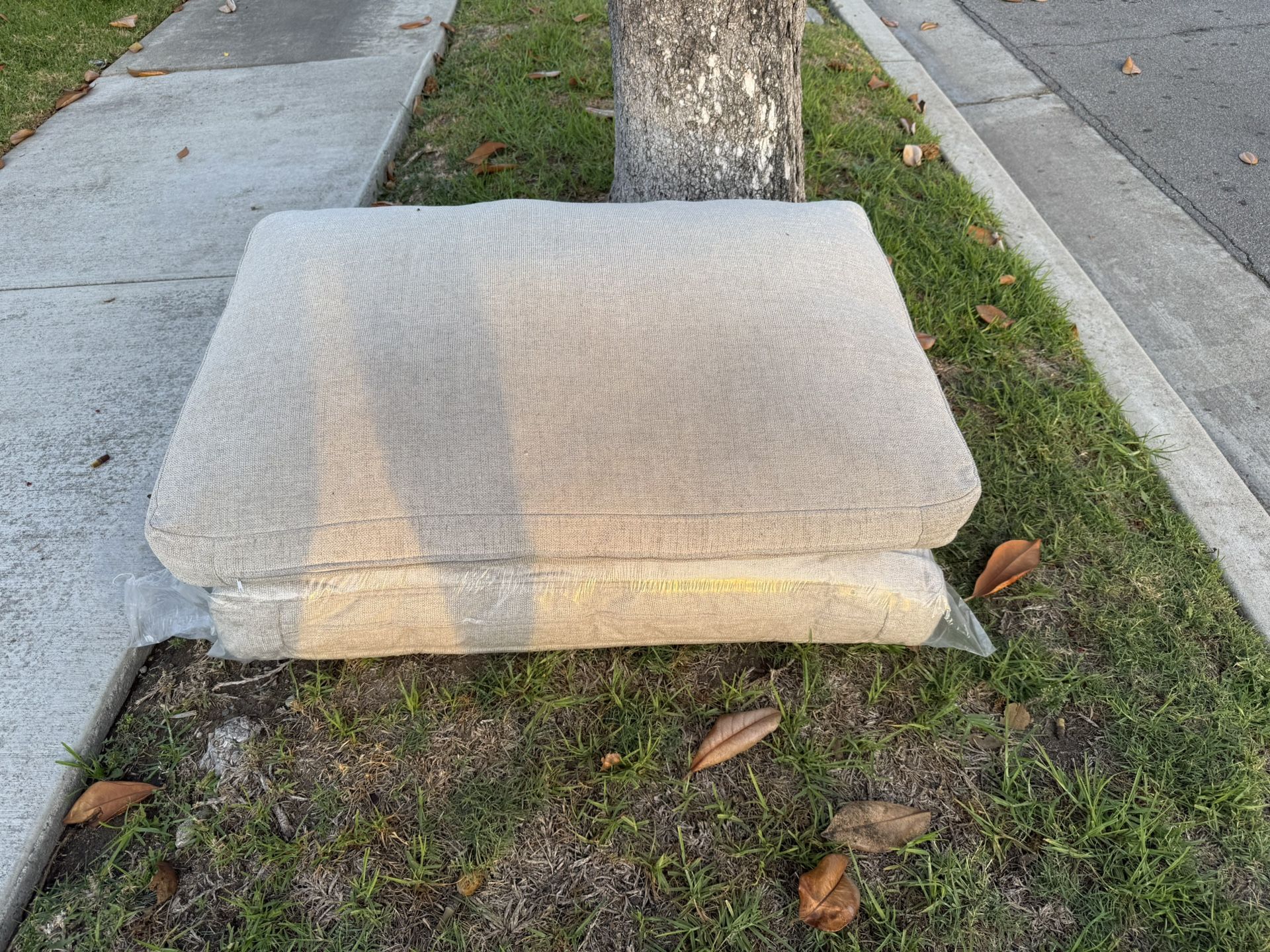 Free Couch/Bed Cushions 