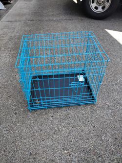 Small pet training