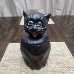 Mccoy Colby Cat Mccoy