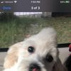 Eugene