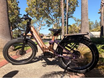 Rare Mokwheel Onyx ST 10-Speed E-Bike