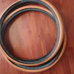 Mountain Bicycle Tires