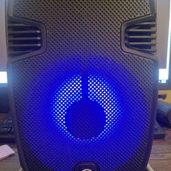 Mega Base Portable Speaker 8’