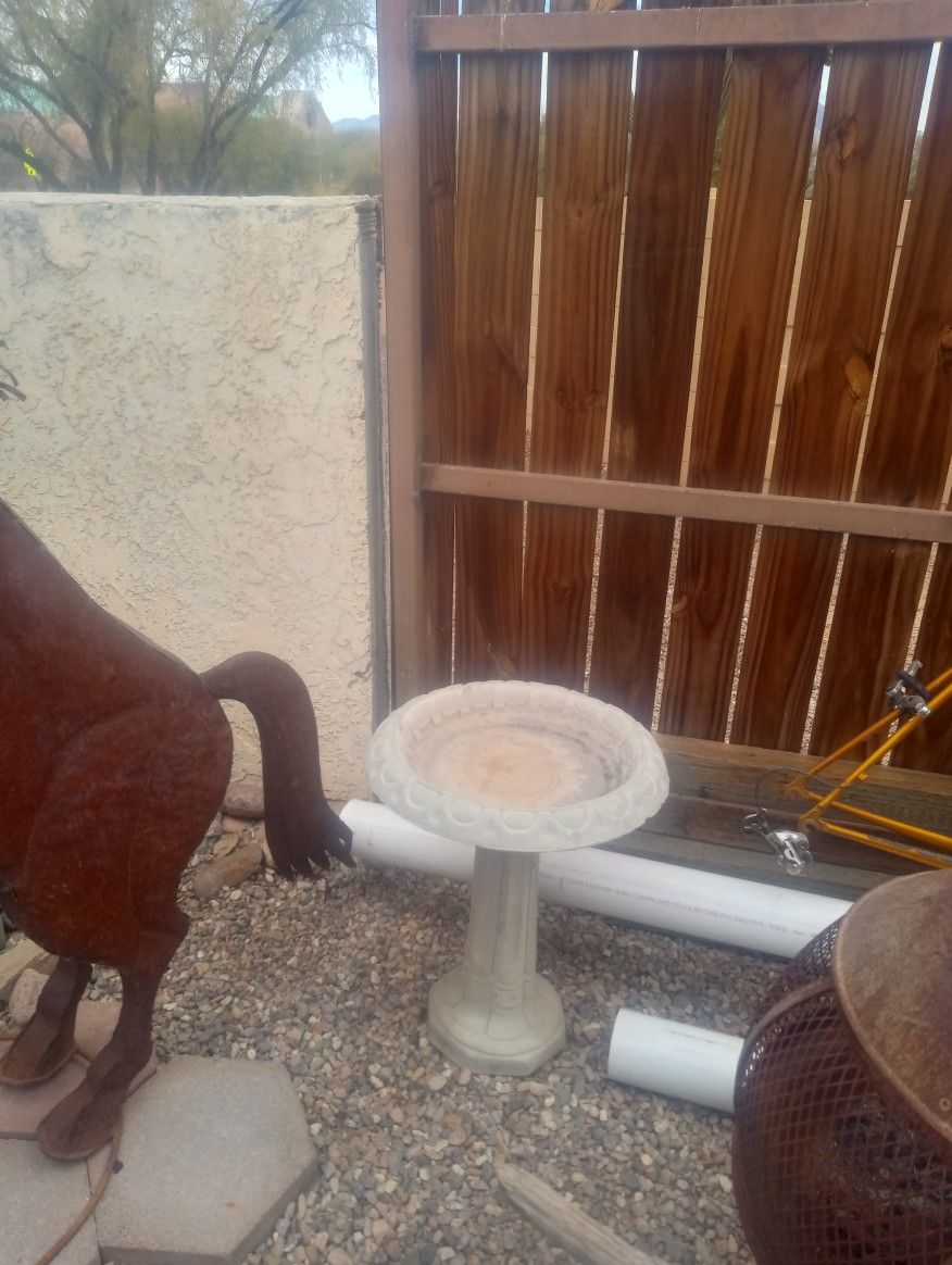 Bird Bath