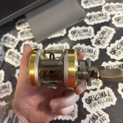 Dawia 250 Millionaire Fishing Reel