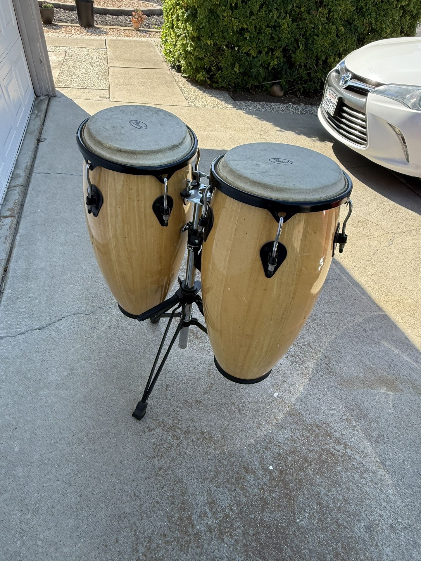 Beautiful 😻 Pearl Primero Conga Set