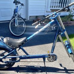 Schwinn Stingray Xl Adult Size 