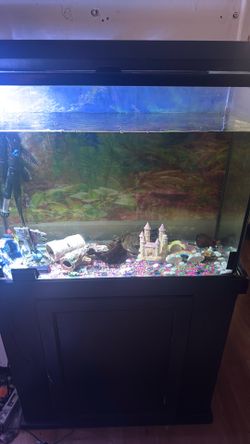38 gallon show tank, black, silicone,