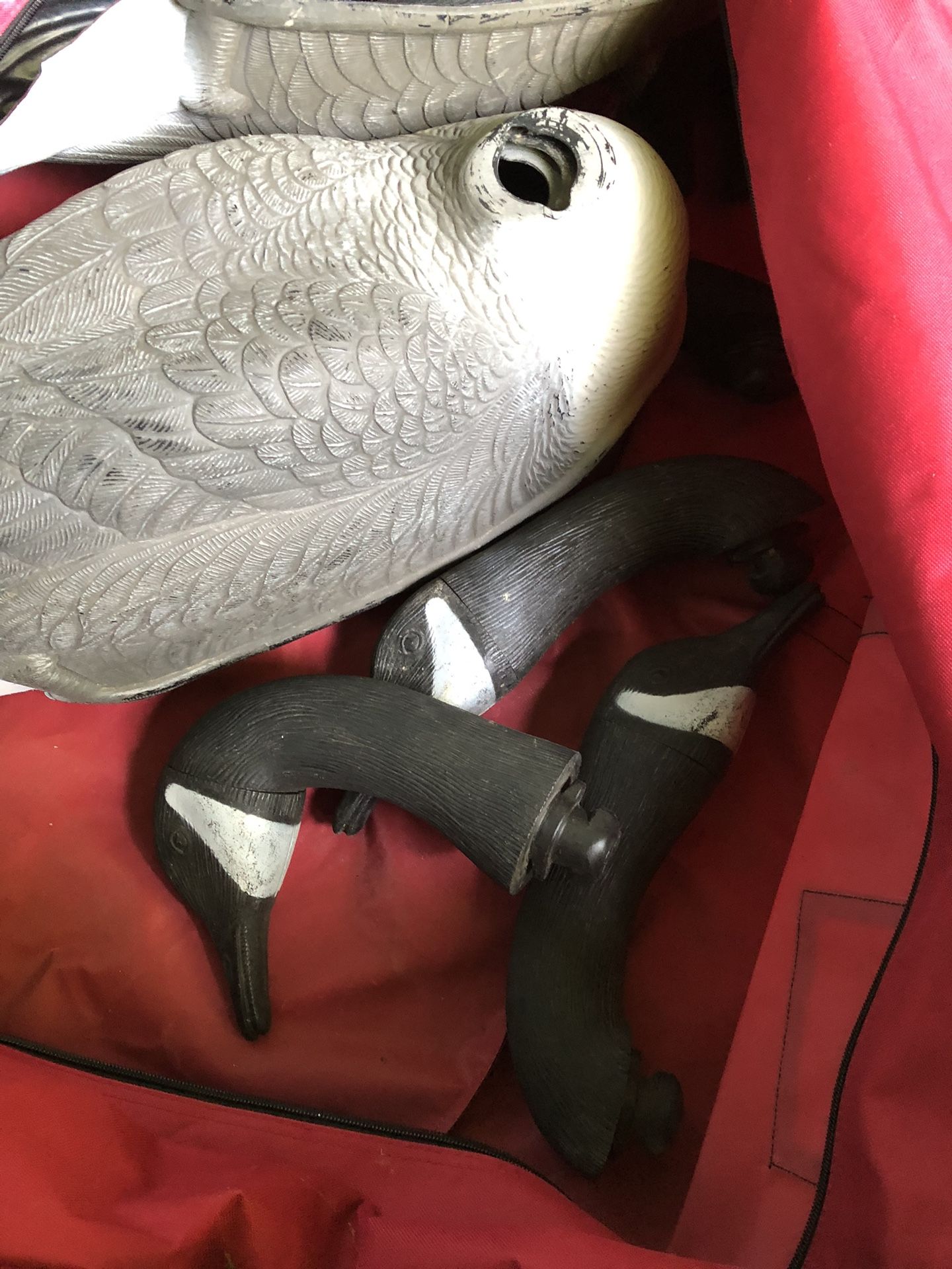 Goose Decoys