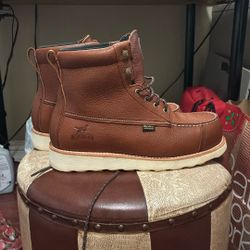 Irish Setter By Red Wings  