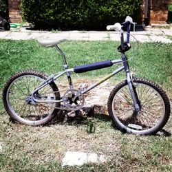 1985 2024 mongoose expert
