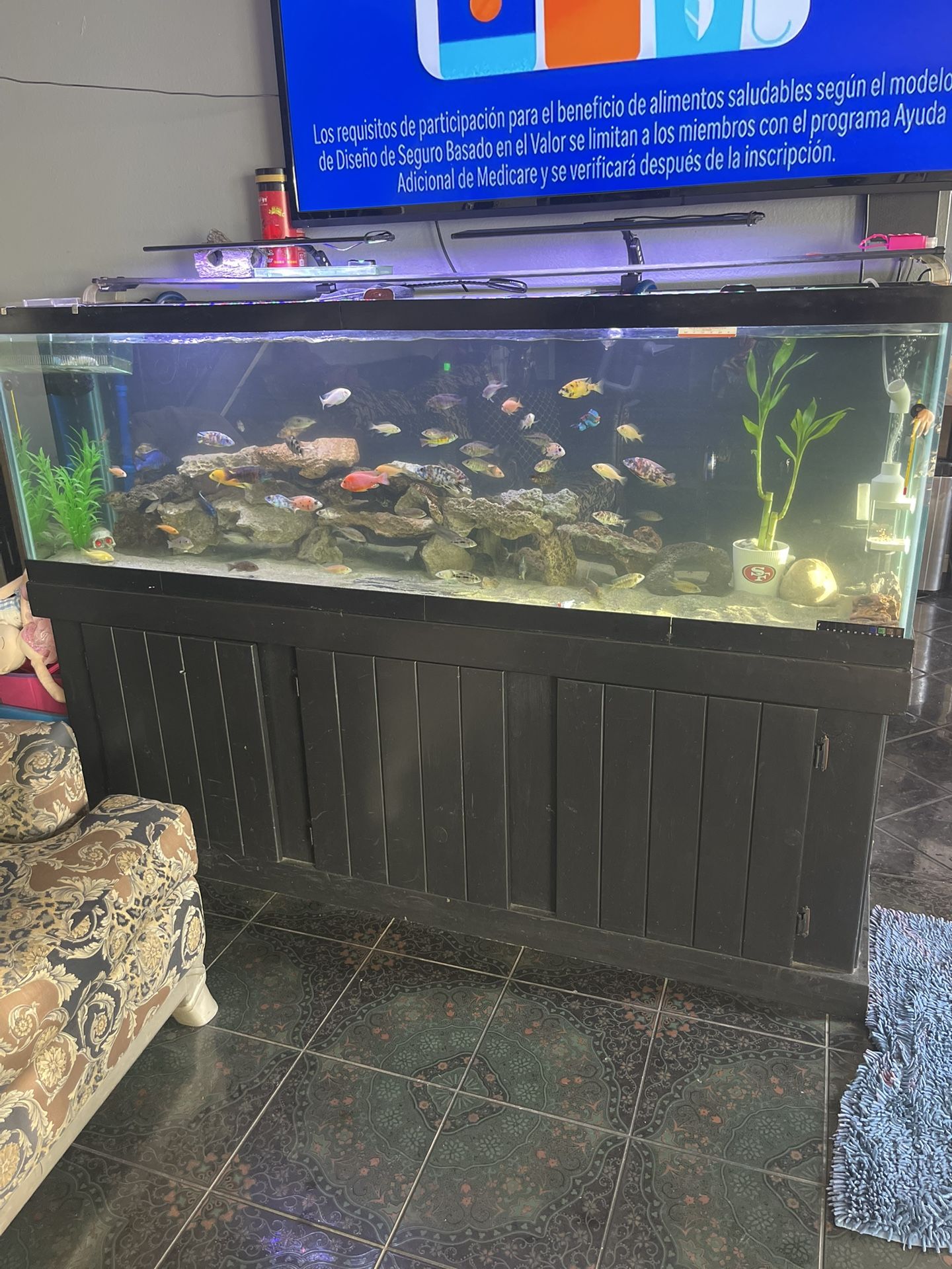 150gal Tank And Stand