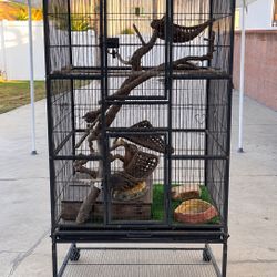 Large Reptile Enclosure/ Aviary On Wheels