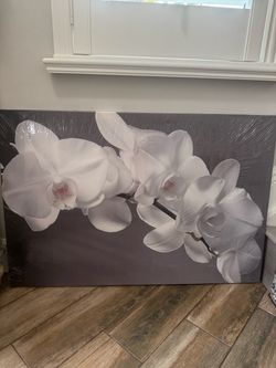 Canvas Walmart