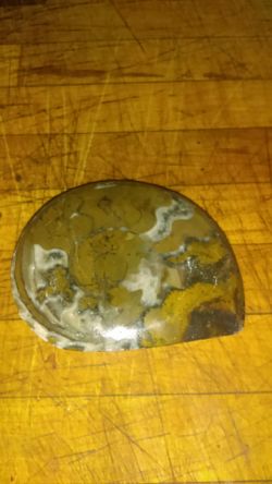 Ammonite fossil , Madagascar