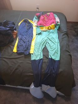 Robin Costume 