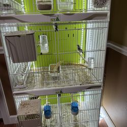 Birdcage For Sale