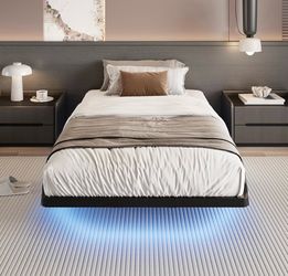 Twin Size Floating Bed Frame w/ LED Lights - DD001