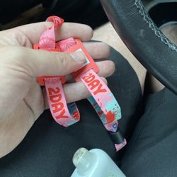 Daytrip 2024 Sunday VIP