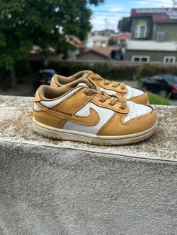 Nike Dunks 10c