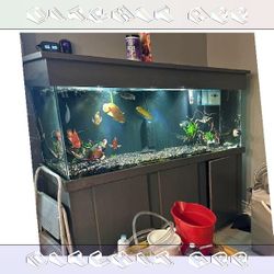 High-Quality Aquarium System - Premium Standard Choice cause you