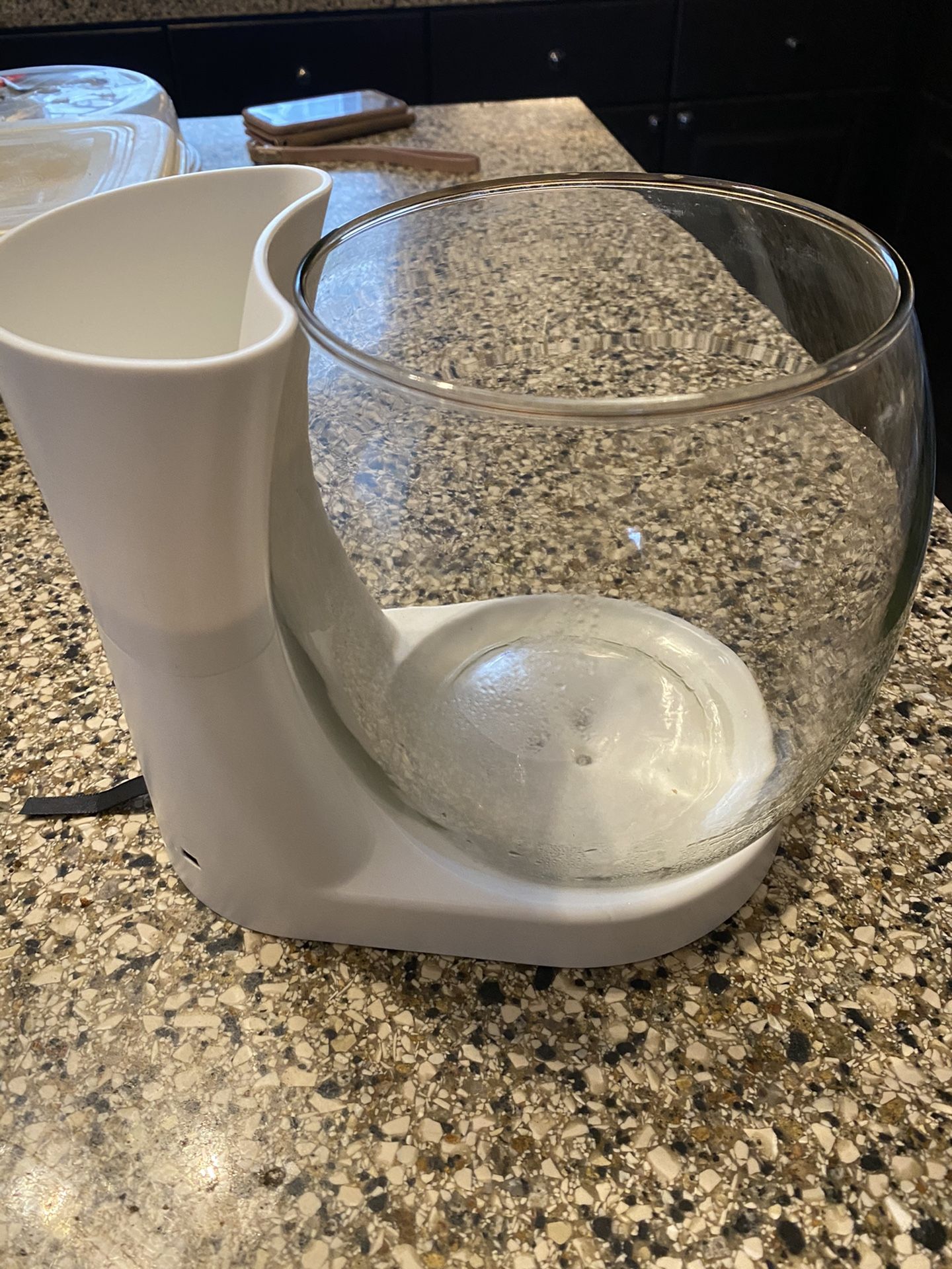 One Gallon Betta Fish Bowl