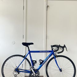 Windsor Wellington 1.0 Road Bike 