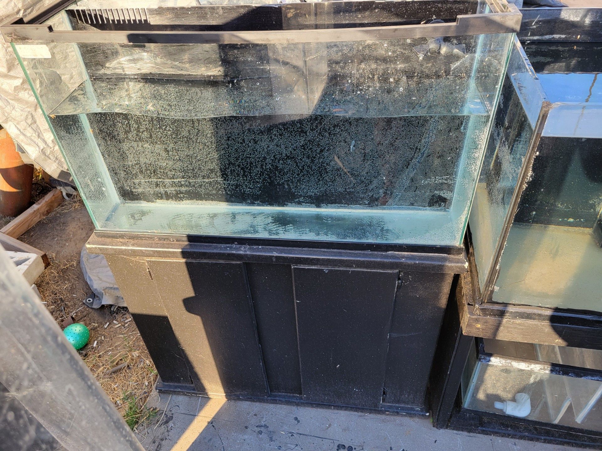 40 Gallon Fish Tank