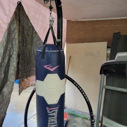 Punching  Bag