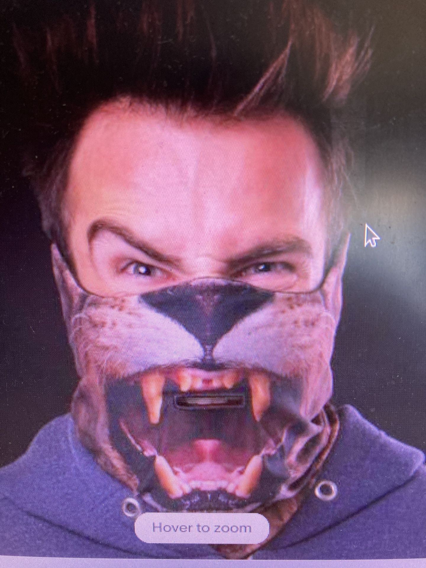 Lion Ski Mask Perfect For Costumes 