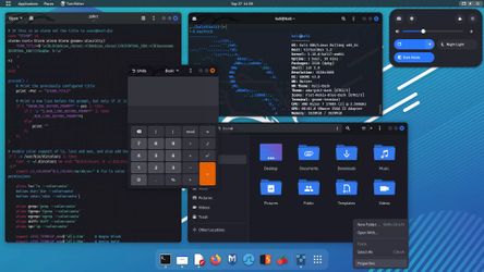 Kali Linux 2024.3 (Newest Ver.) USB Boot Flash Install