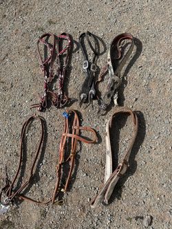 western headstalls