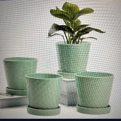 Ceramic Pots New In Box