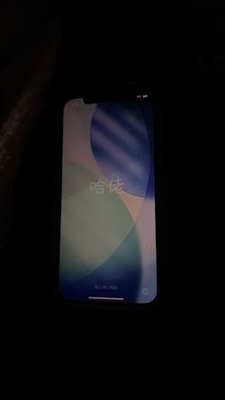 Apple iPhone with Notch Display
