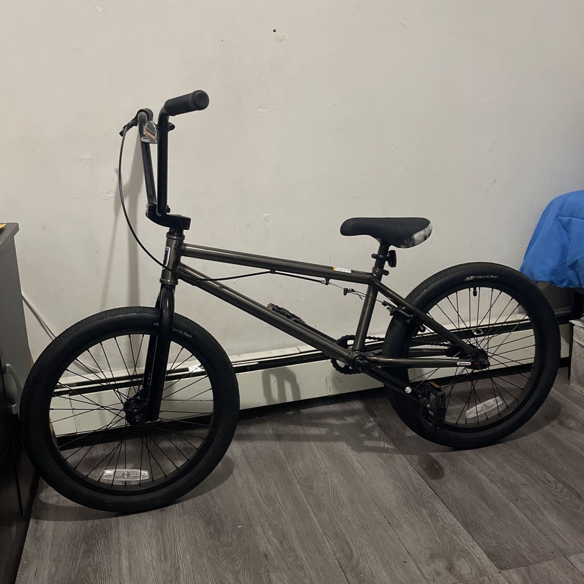 Performer 20.5 Kachinsky