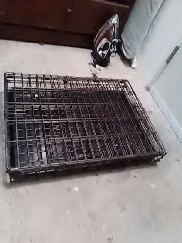 Cage for dog, cat, big parrots classifieds any pet. And folds,