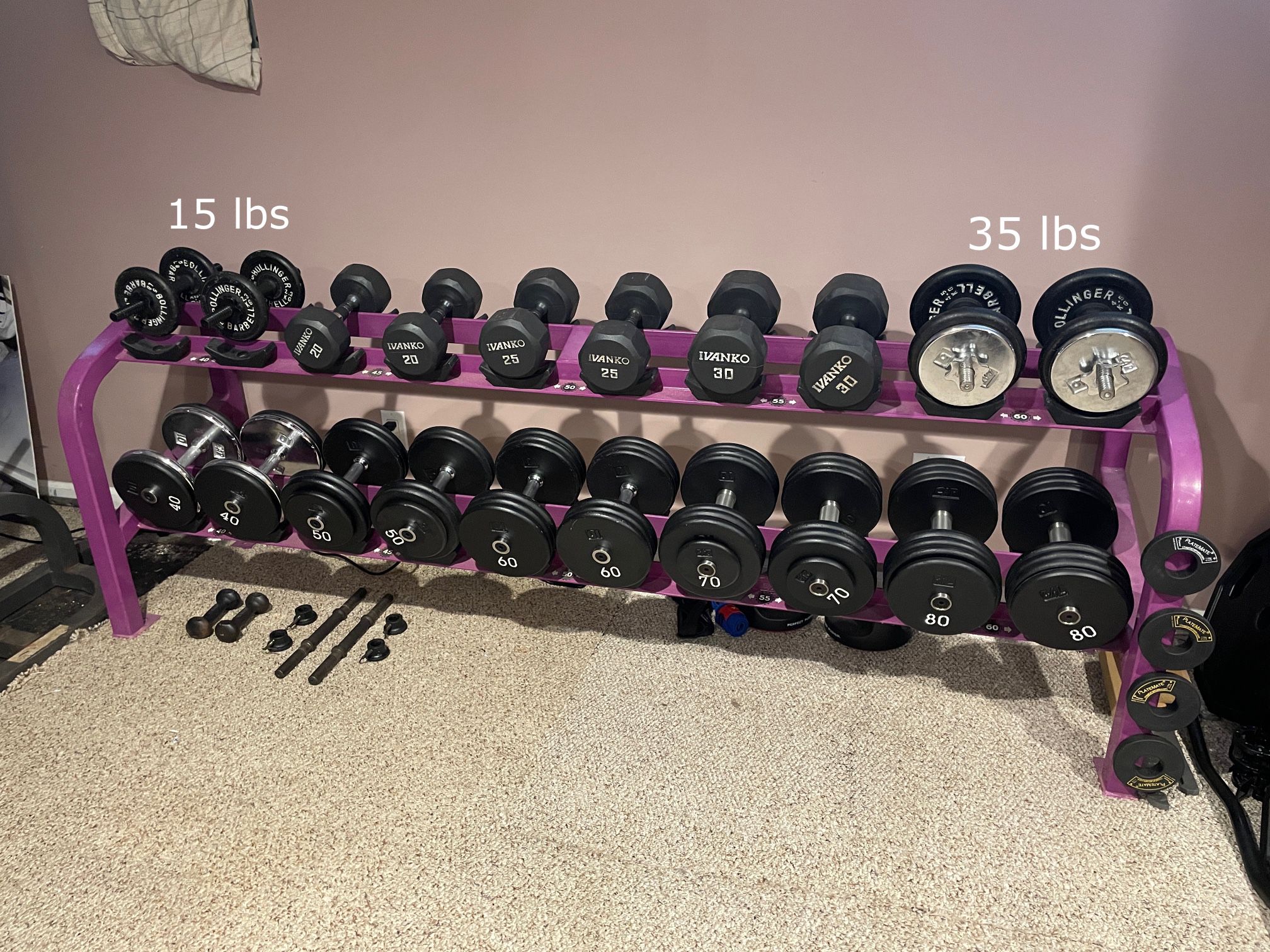 Pro-style dumbbells + Official gym rack