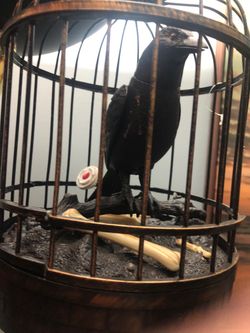 Halloween bird that yells