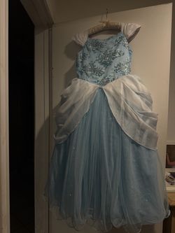 Disney Cinderella Dress