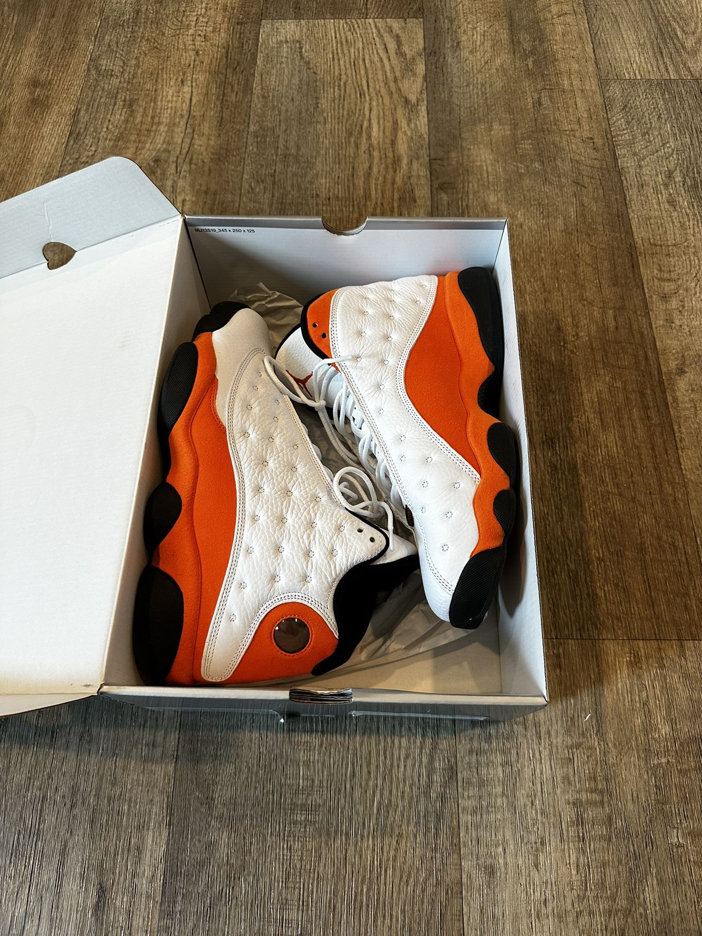 Starfish Jordan 13